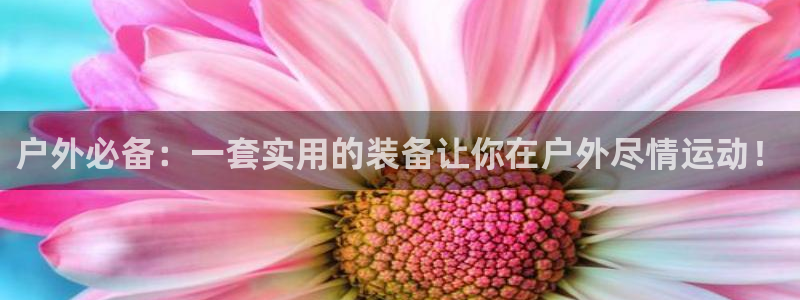 富邦娱乐合并