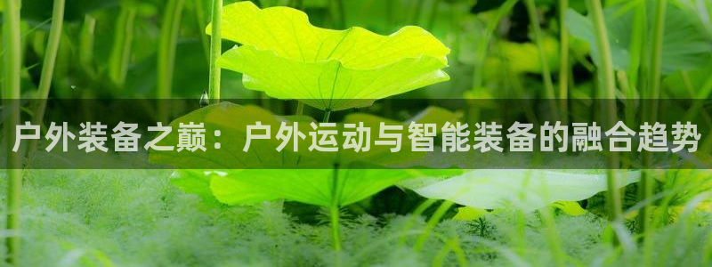 上海邦富娱乐有限公司