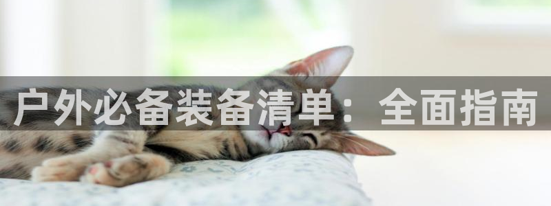 富邦娱乐app官方下载