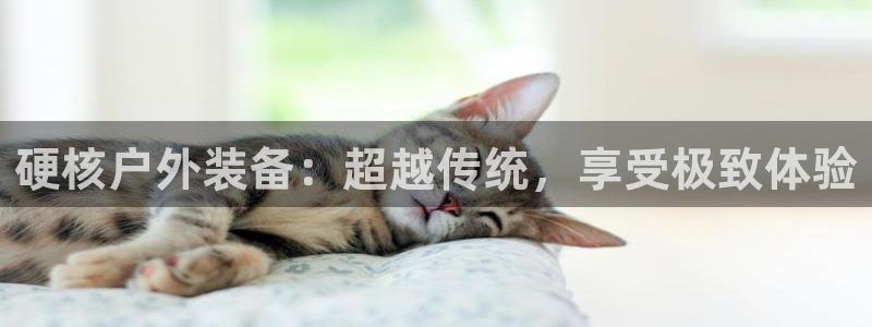 f08富邦娱乐