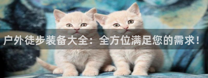 北仑富邦娱乐