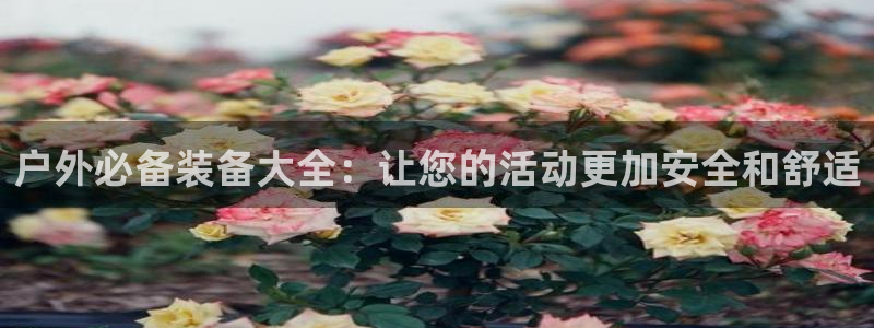 富邦娱乐合并