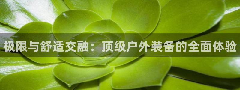富邦娱乐网站是