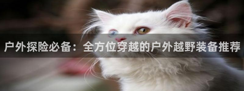 富邦娱乐 果敢锦海