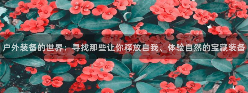 屏山富邦娱乐会所地址查询
