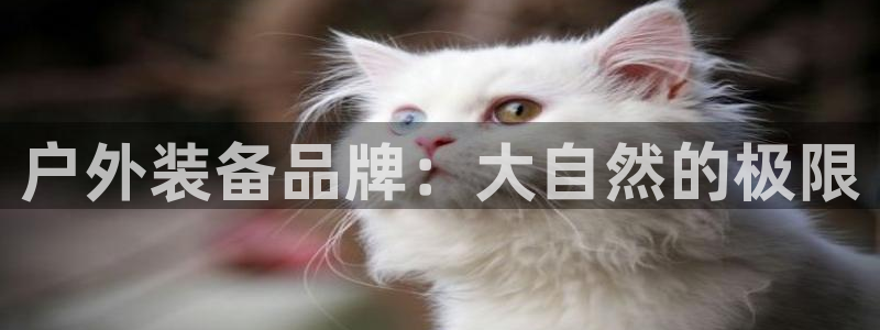 富邦娱乐平台网址