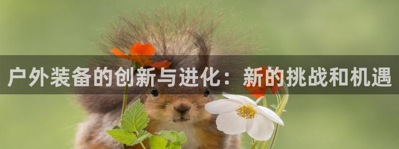 富邦娱乐场