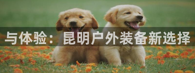 富邦娱乐-皇恩靠谱