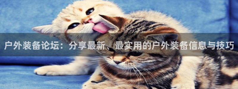 富邦翡翠娱乐怎么样知乎