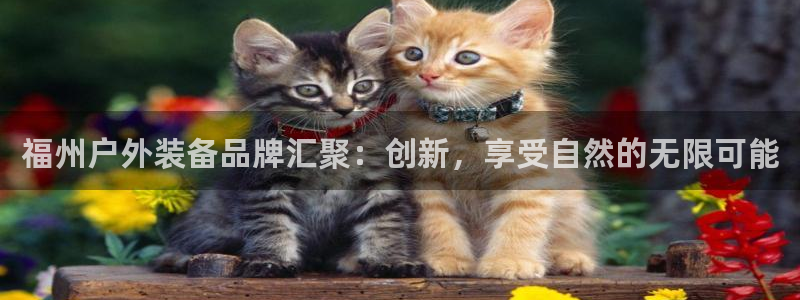 富邦娱乐集团