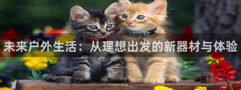 富邦娱乐团购活动