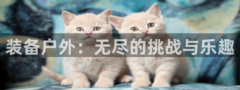 富邦娱乐注册-上全狐网