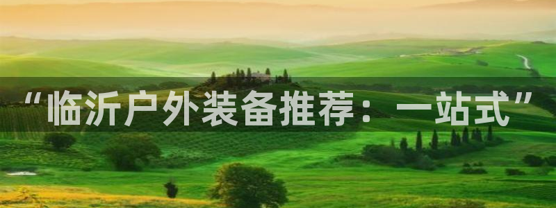 富邦娱乐国际