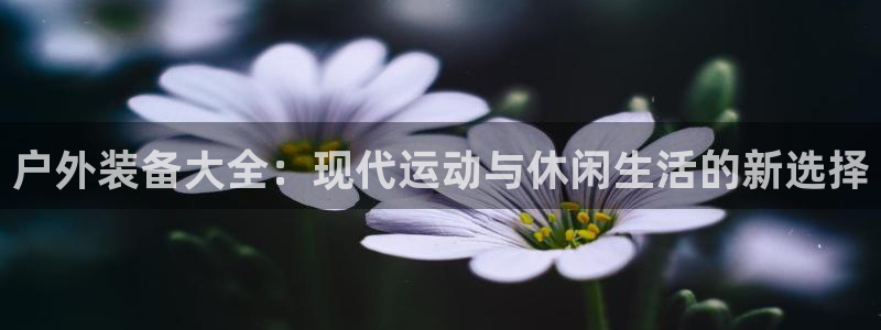 富邦美业势不可挡娱乐