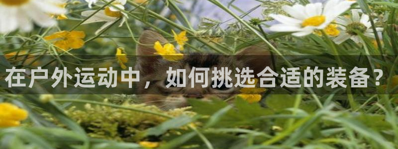 富邦娱乐官网-上全狐网