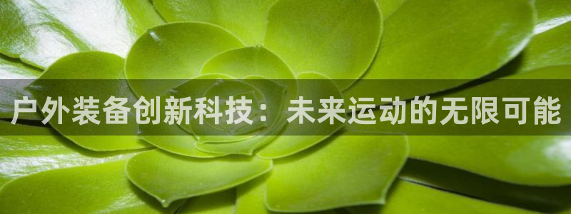 富邦娱乐场