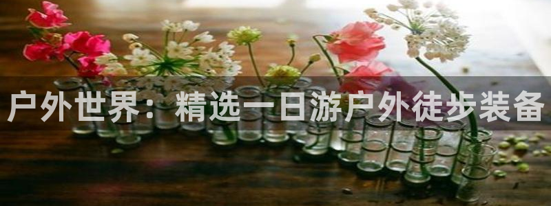 上海邦富娱乐有限公司