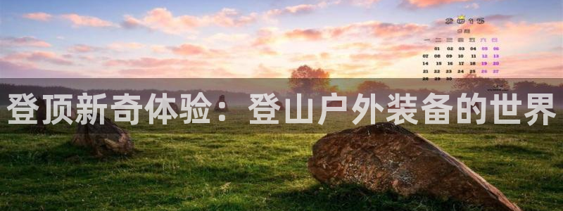 富邦娱乐 果敢锦海