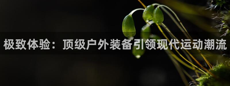 富邦娱乐登入 全礴网
