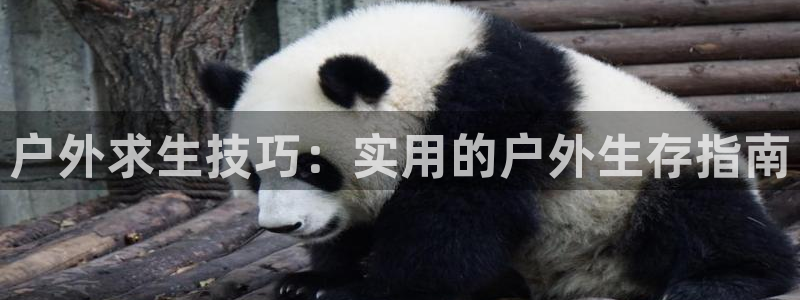 富邦娱乐彩票官网下载