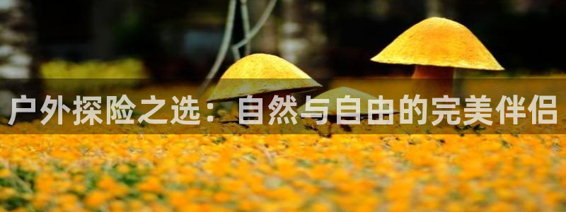 杭州富邦娱乐在营业吗