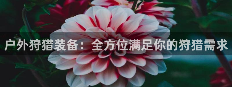 富邦娱乐官网最新网址