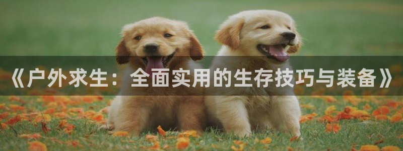 富邦酒店有娱乐场所