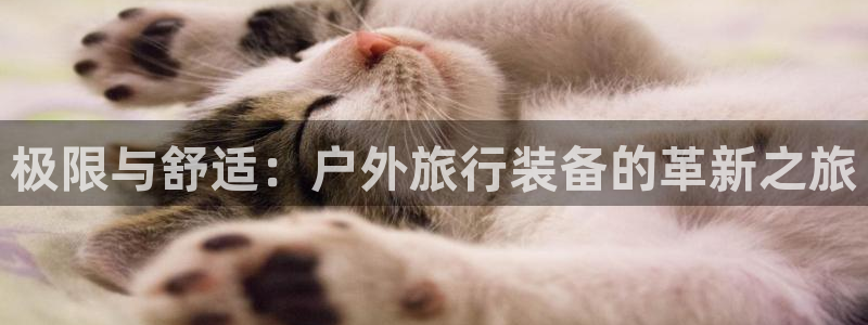 富邦娱乐澳门娱乐官网