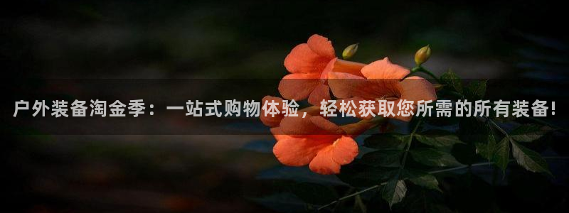 富邦美业势不可挡娱乐