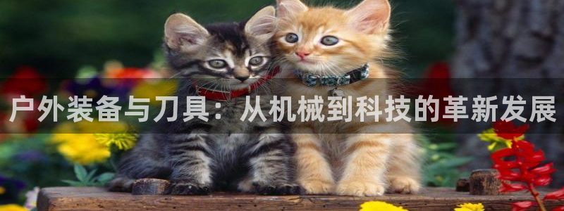 澳门富邦线上娱乐平台