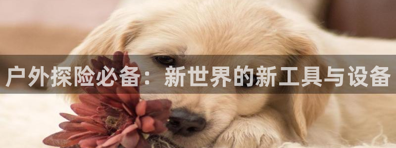 富邦商务娱乐会所怎么样