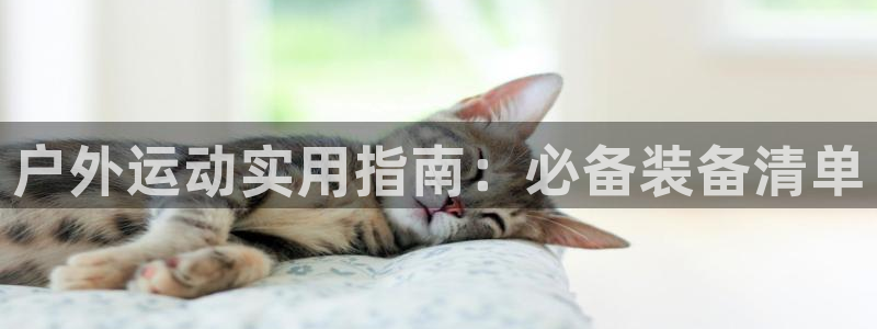 富邦娱乐场手机下载