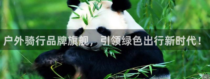 富邦娱乐app官方下载