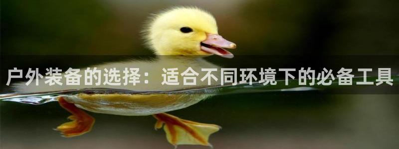 富邦娱乐场手机下载