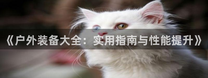 富邦娱乐登入上银狐网