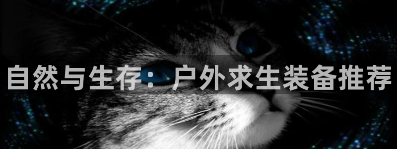 富邦娱乐会所kTV