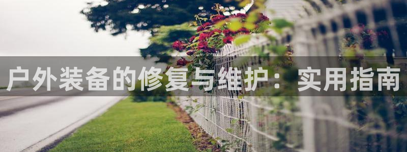 富邦娱乐 上鼎狐网