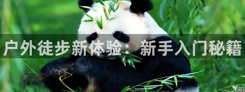 富邦娱乐登入 全礴网