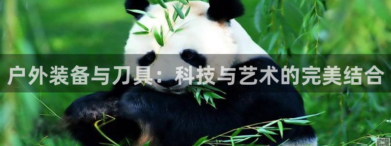 www.富邦娱乐场所