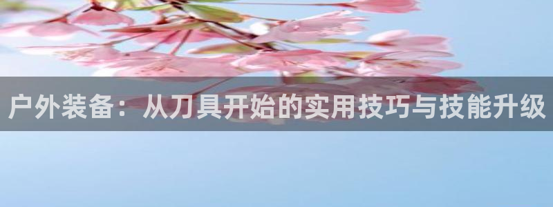富邦娱乐 果敢锦海
