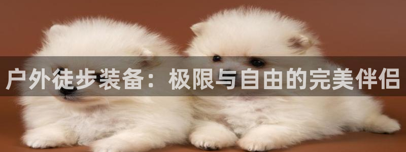 富邦娱乐城fub