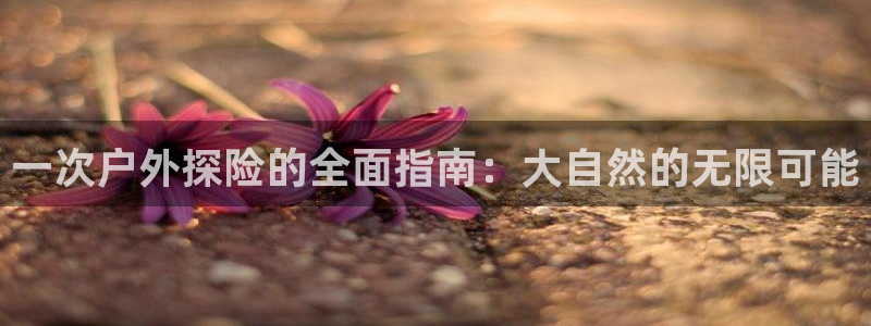 富邦娱乐2024最新消息